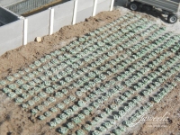 Juweela 21328 - N/TT - Weißkohlfeld (360 Stück)